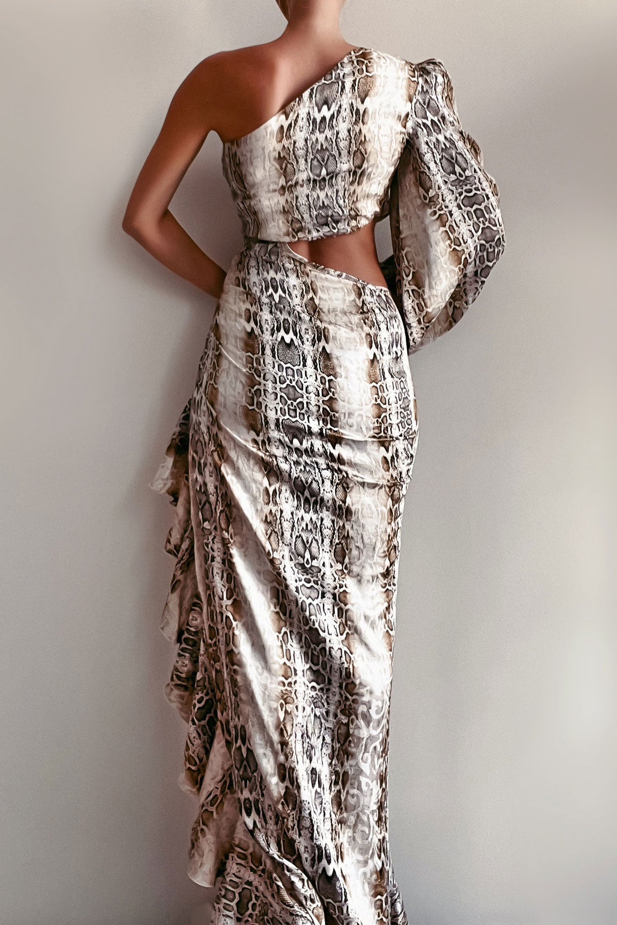 Anitas Champagne One Sleeve Snake Dress