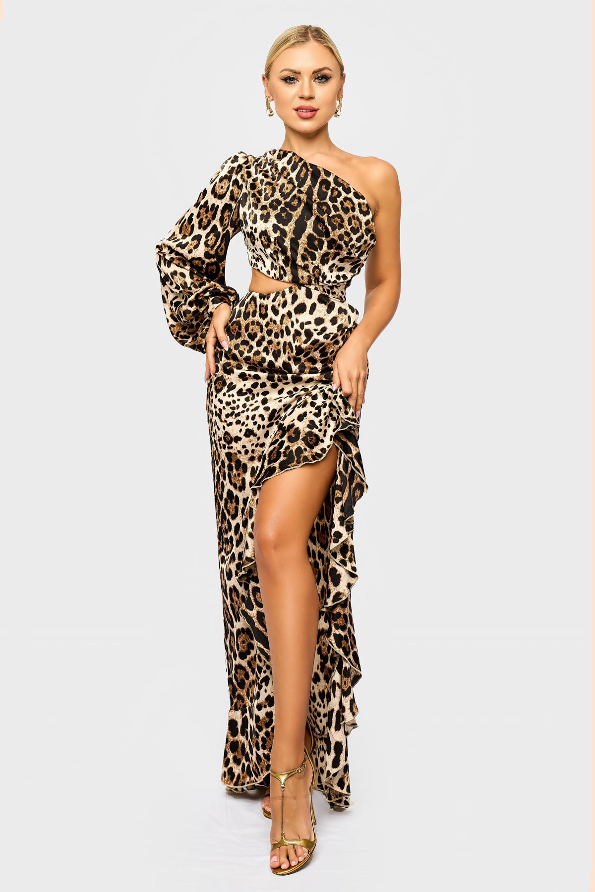 Champagne One Sleeve Leopard Dress